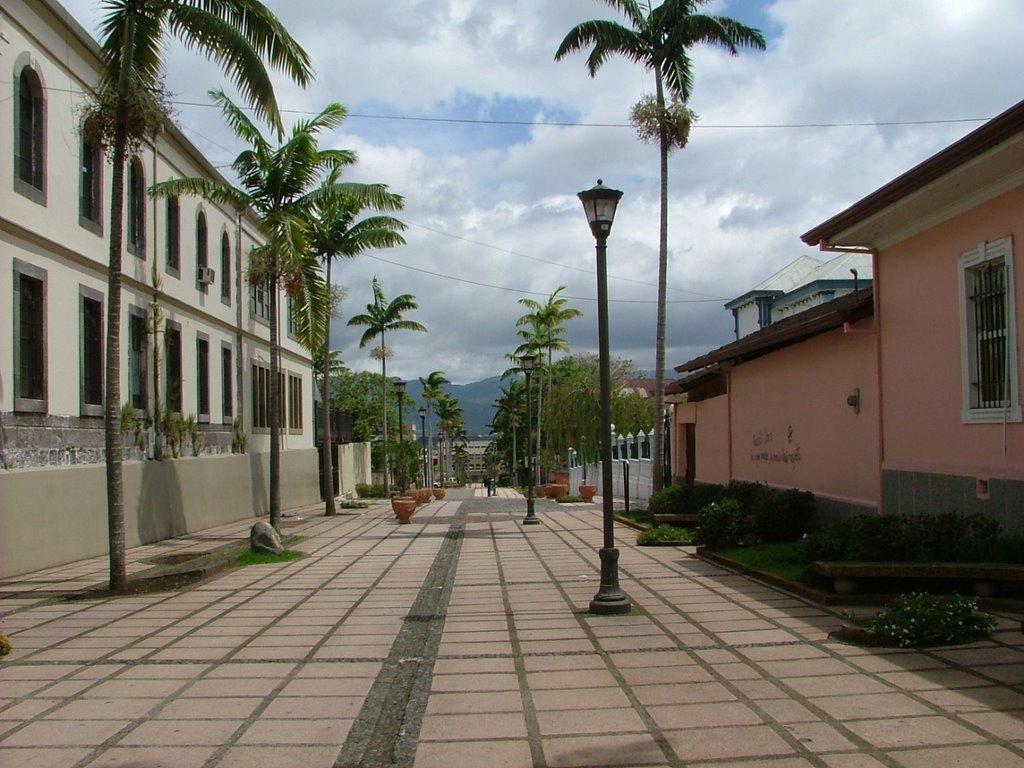 Hotel Bristol San José Eksteriør billede